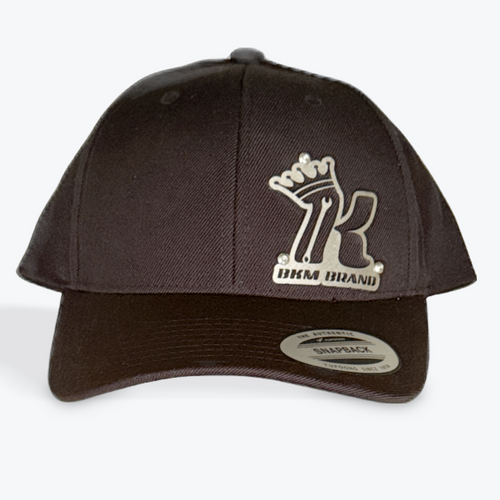 Curved Bill / Stainless Steel Snapback